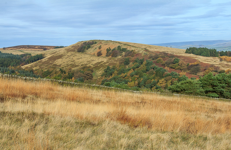 Foxlow Edge Foxlow Edge